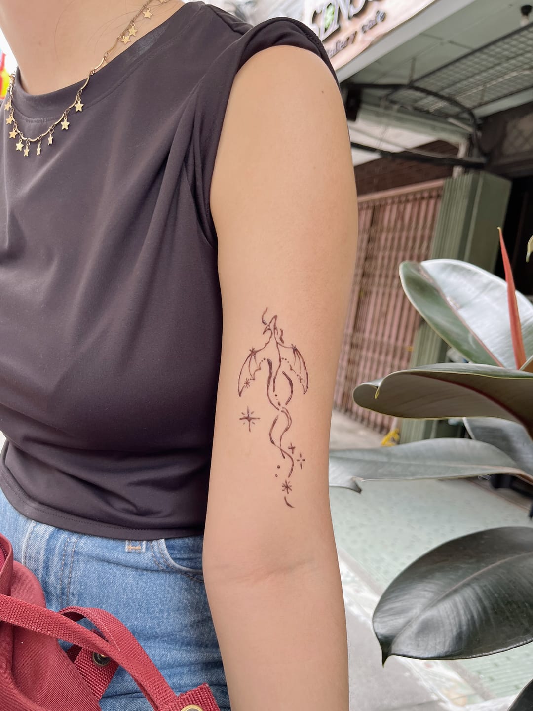 Customer photo review of Jagua Powder
