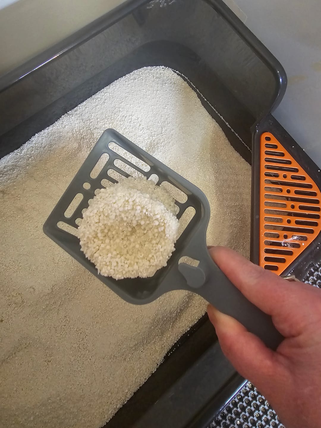 Customer photo review of Michu Wonder Litter - Plant-Based & Automatic-Box Friendly 2.5kg/6L