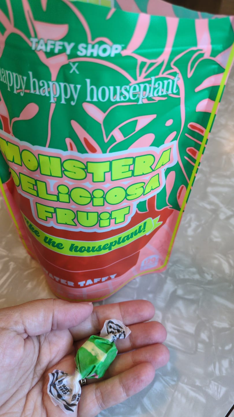 Customer photo review of Monstera Deliciosa Fruit Salt Water Taffy