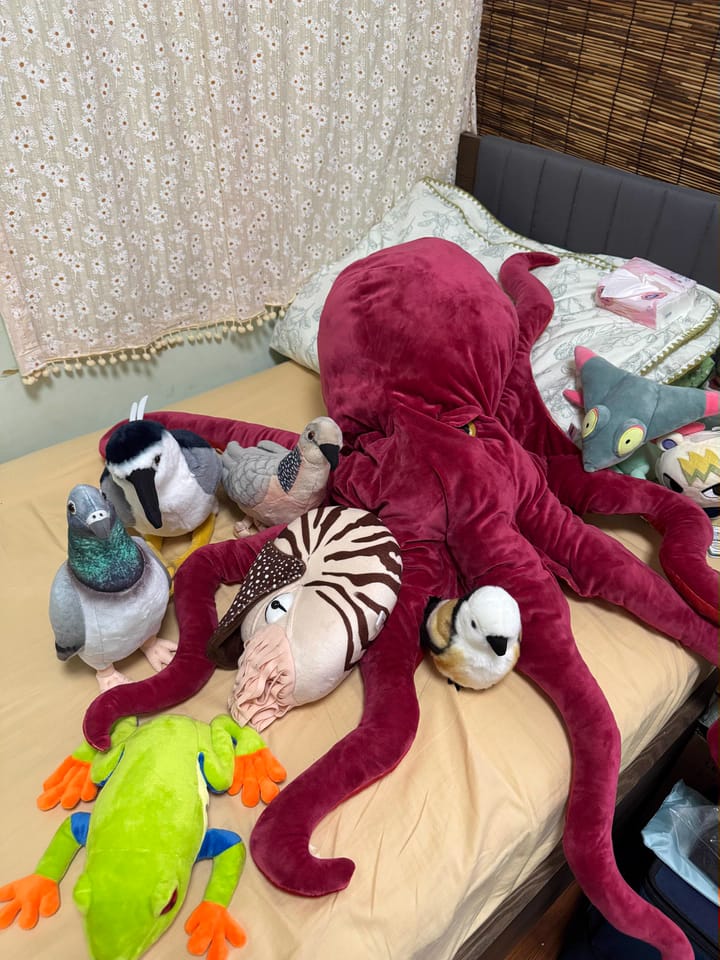 Customer photo review of Realistic Spotted Dove Bird Soft Stuffed Plush Toy