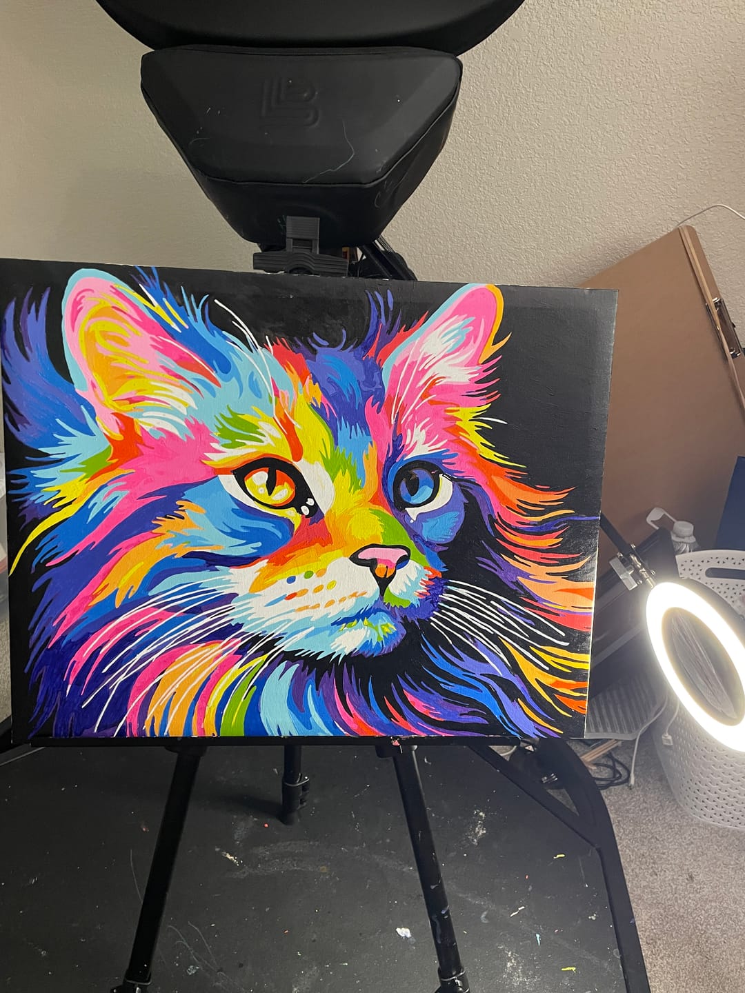 Customer photo review of Colorful Cat