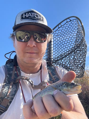 Customer photo review of 2025 Marquee Trucker Hat