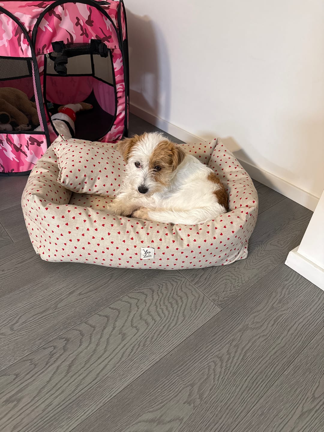 Customer photo review of Divanetto Cotone Panama Little Love Heart Red