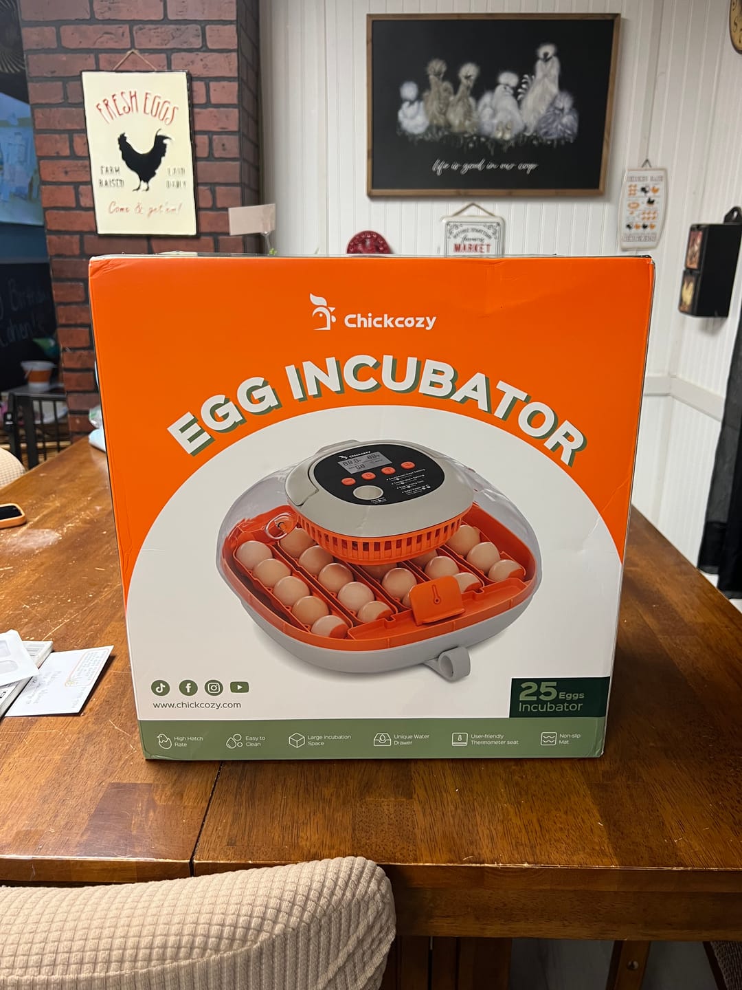 Customer photo review of Egg Incubator -25 Egg Capacity