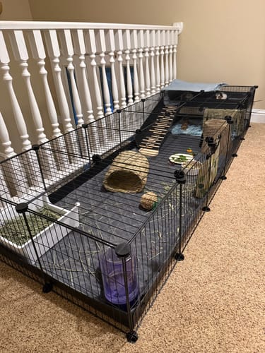 Customer photo review of 6x2 C&C Cage with Loft