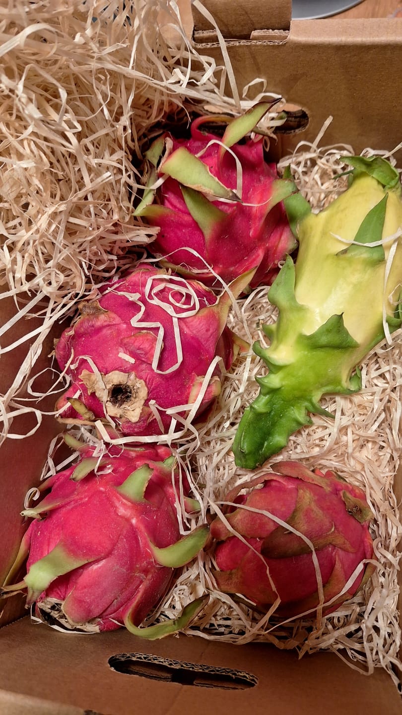 Customer photo review of Drachenfrucht Mix bunt Bio Aktionswoche %