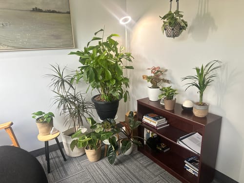 Customer photo review of Root Boost