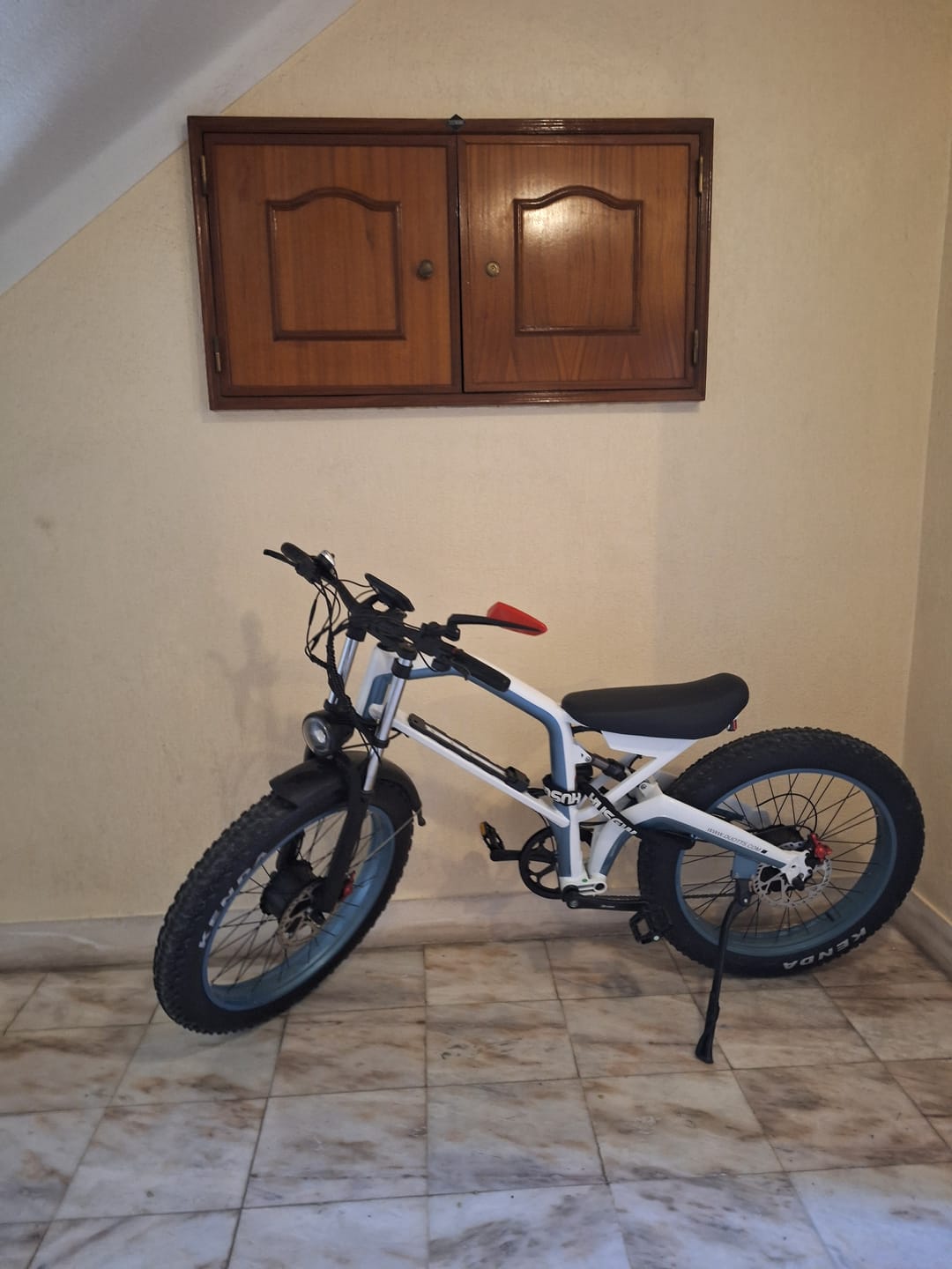 Customer photo review of DUOTTS N26 Electric Bike