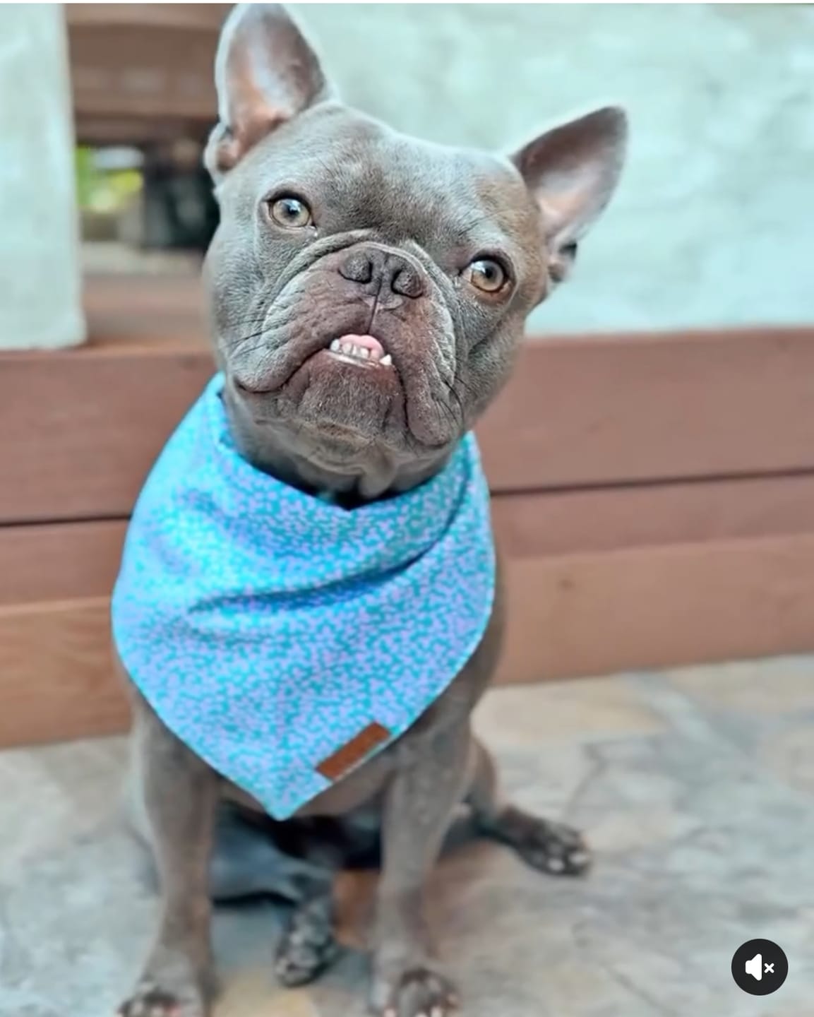 Customer photo review of Clip on Portable Dog Treat Bag