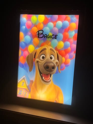 Customer photo review of Magical Pet Portrait LED Night Light