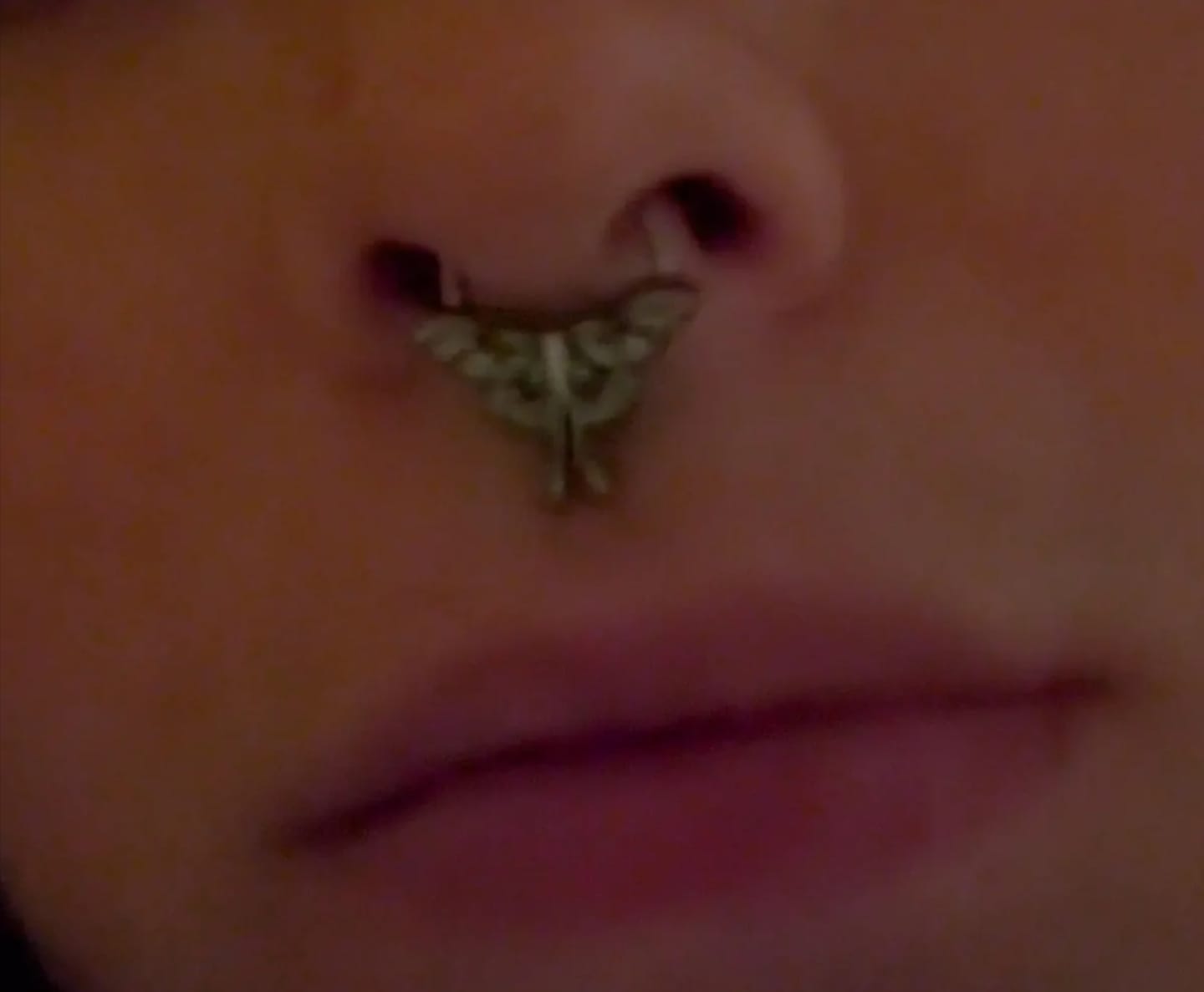 Customer photo review of Luna Moth Septum + Daith Ring