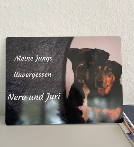 Customer photo review of Hunde Gedenktafel mit Foto & Spruch (UV- & Wetterfest)