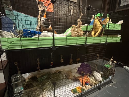 Customer photo review of BC - Correx base, Ramp & Mezzanine