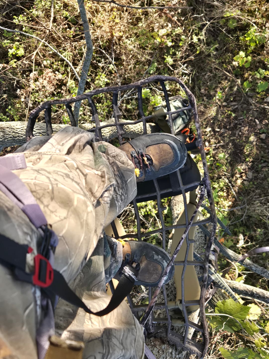 Customer photo review of ALPHA III HANG-ON