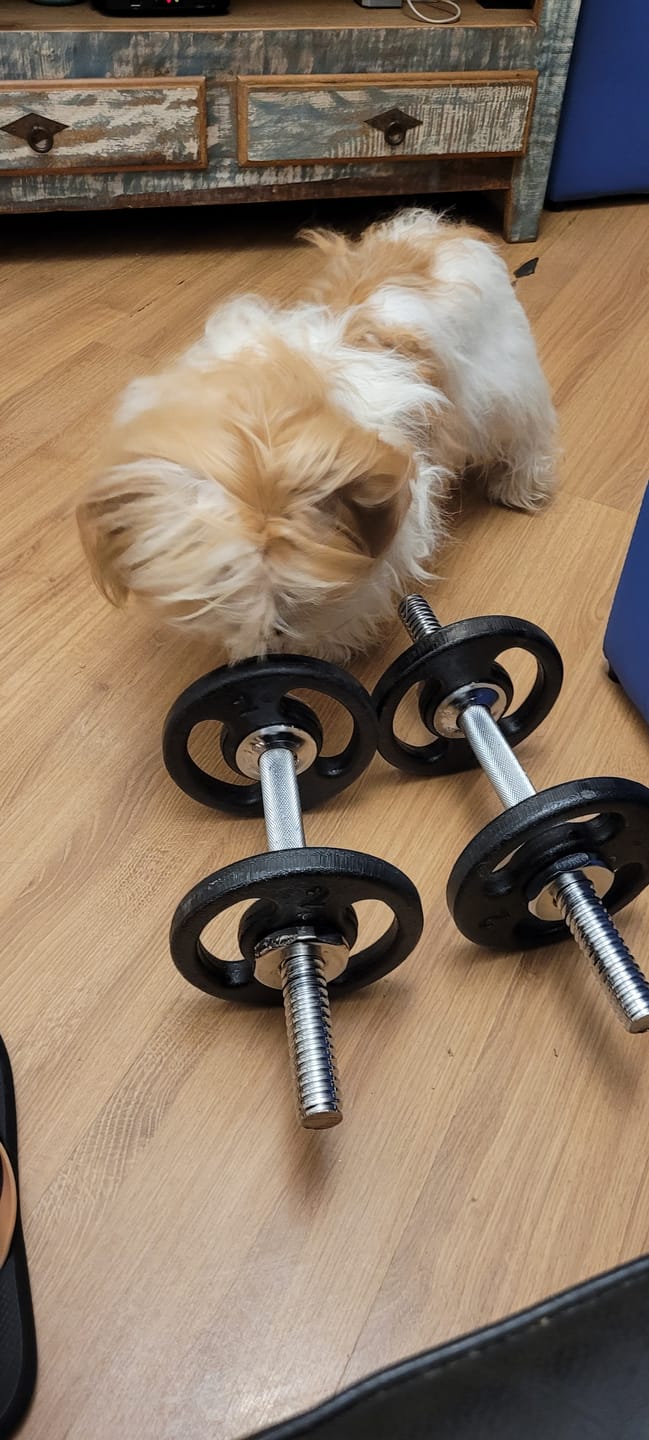 Customer photo review of Kit Musculação Halteres De Academia Rosqueáveis E Anilhas