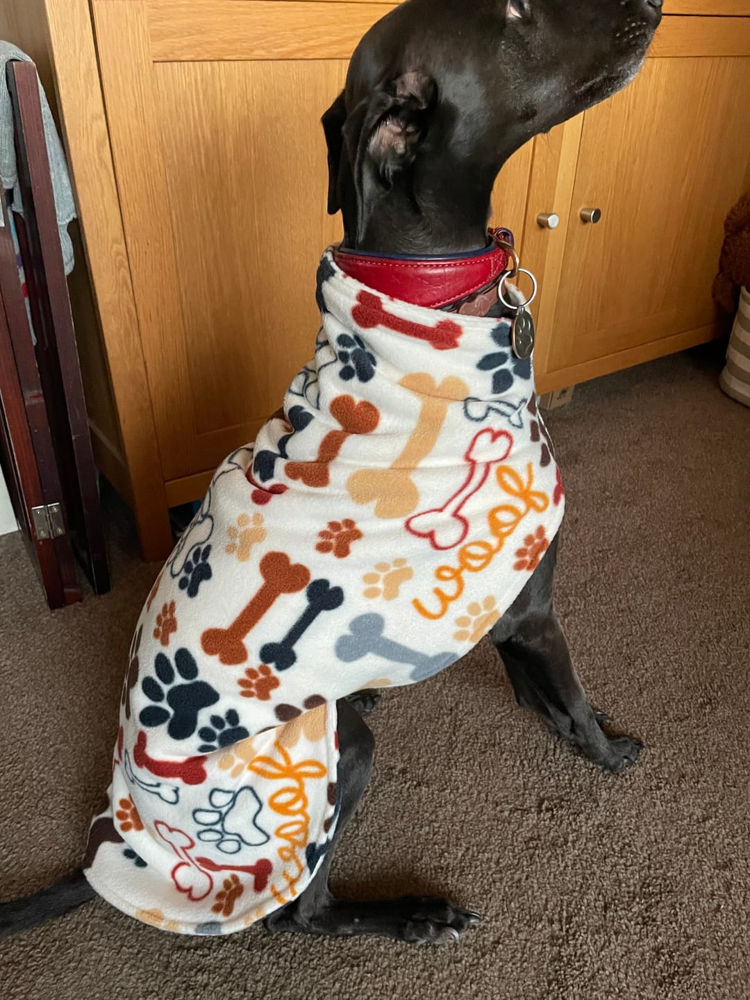 Customer photo review of Playful Paws Anti Pill Polar Fleece Fabric