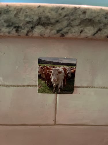 Customer photo review of Whey Protein Isolate with Organic Vanilla