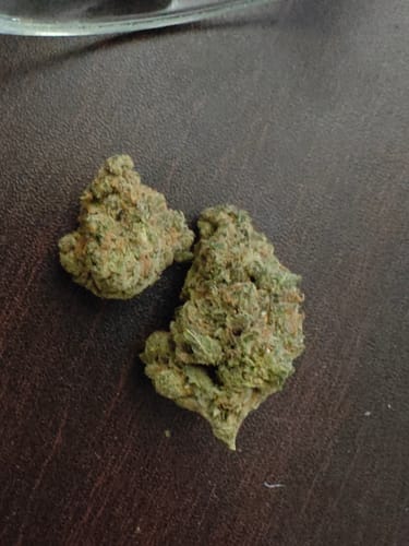 Customer photo review of Super Silver Haze