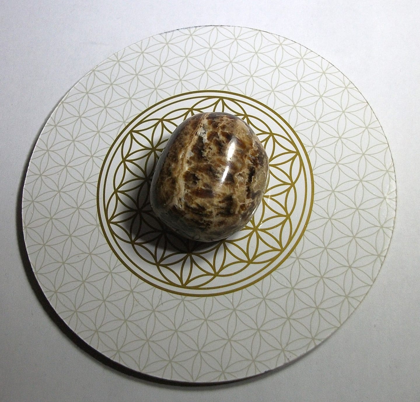Customer photo review of Pierre Aragonite