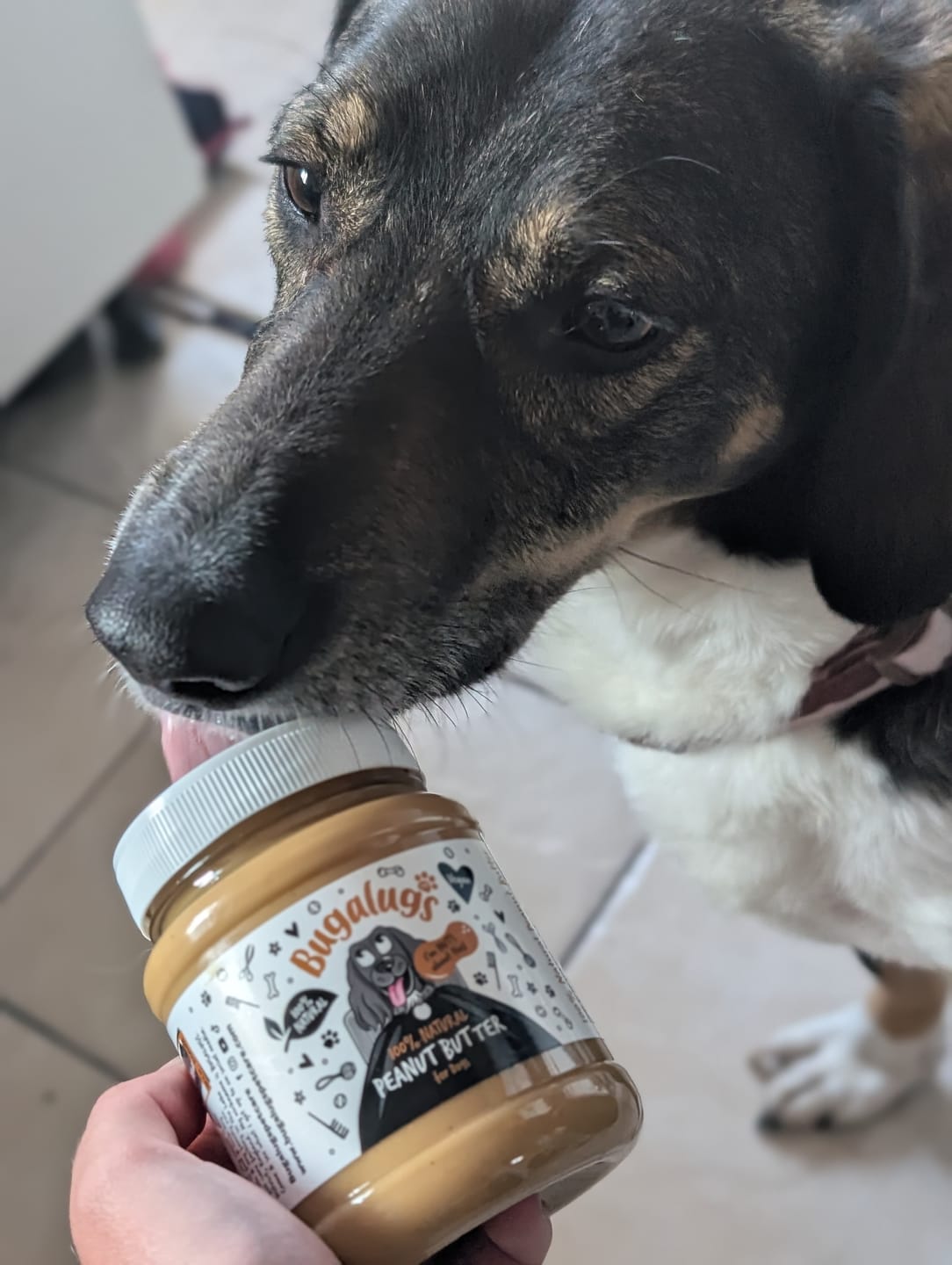 Customer photo review of 100% Natural Peanut Butter for Dogs