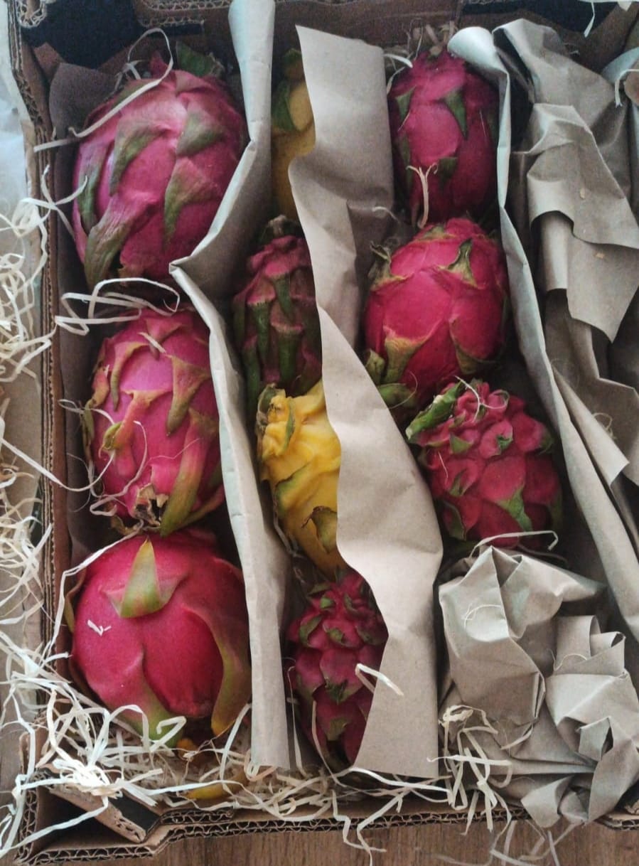 Customer photo review of Drachenfrucht Mix bunt Bio Aktionswoche %