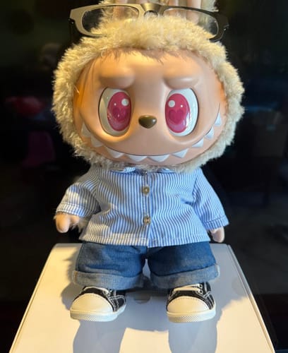 Customer photo review of THE MONSTERS labubu - FLIP WITH ME Vinyl  Plush Doll