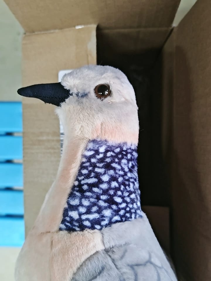Customer photo review of Realistic Spotted Dove Bird Soft Stuffed Plush Toy