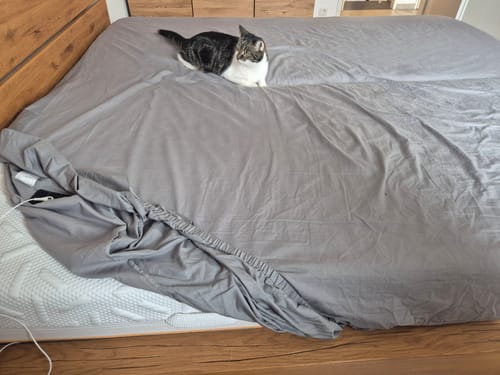 Customer photo review of Spannbettlaken | Premium