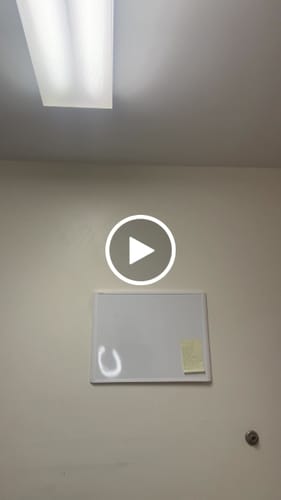 Customer video review of Performance Shorts 7"