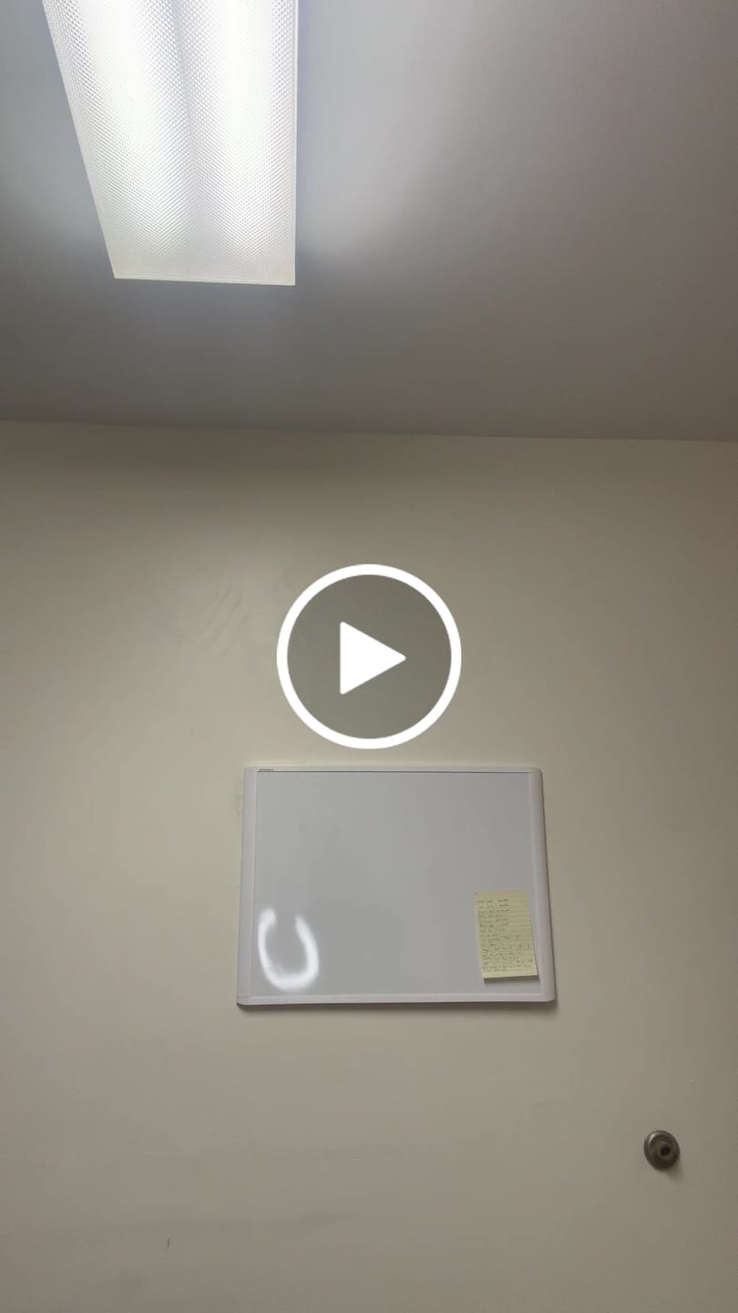 Customer video review of Performance Shorts 7"