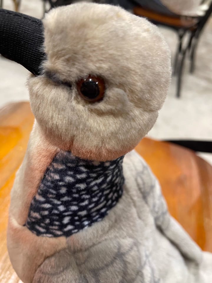 Customer photo review of Realistic Spotted Dove Bird Soft Stuffed Plush Toy