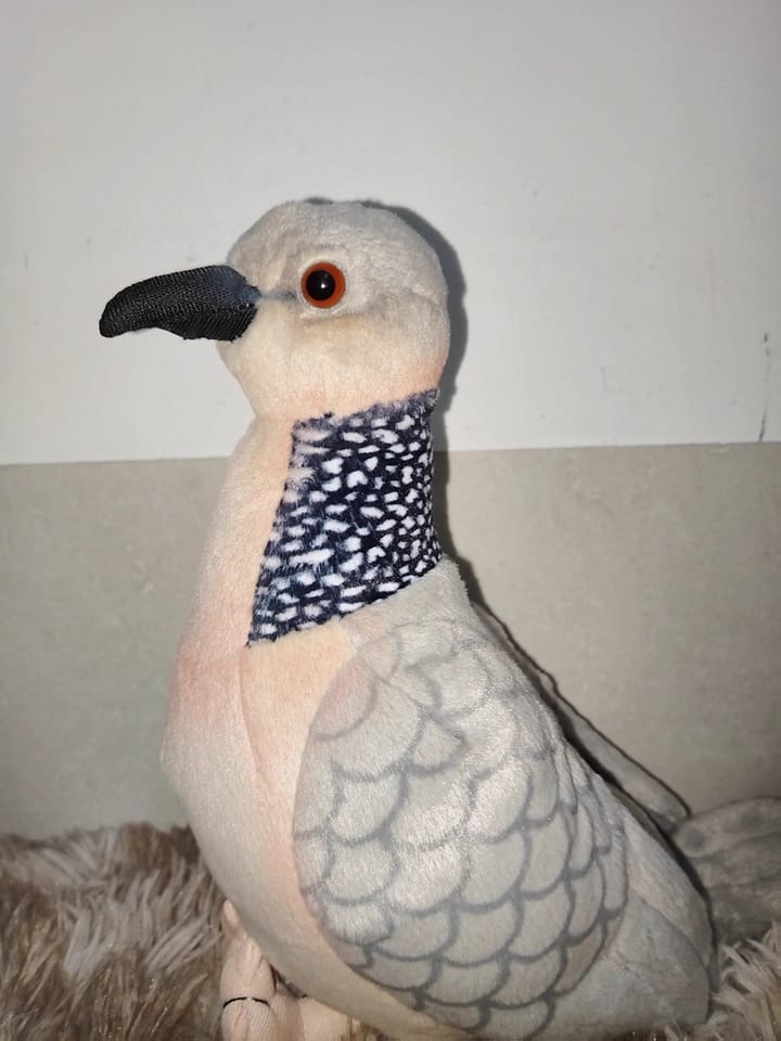 Customer photo review of Realistic Spotted Dove Bird Soft Stuffed Plush Toy