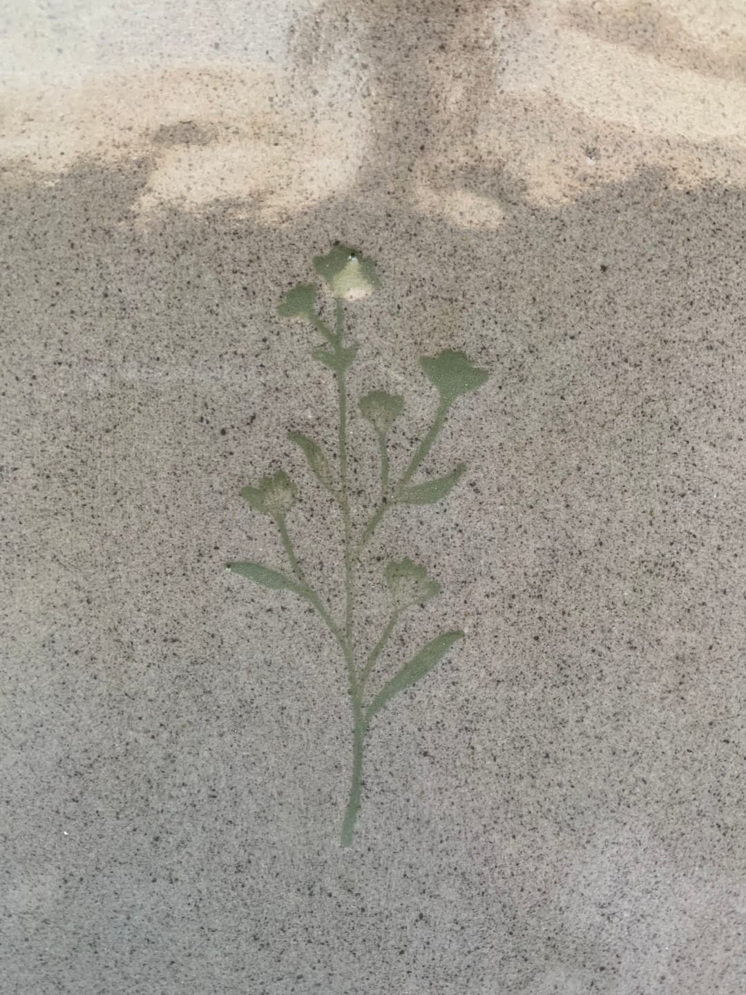 Customer photo review of Stoneware Clay with Speckle (WMS2002GG) - 10kg