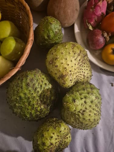 Customer photo review of Soursop