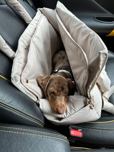 Customer photo review of Hazelnut┃The Puffer Carrier