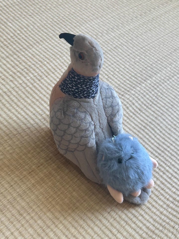 Customer photo review of Realistic Spotted Dove Bird Soft Stuffed Plush Toy
