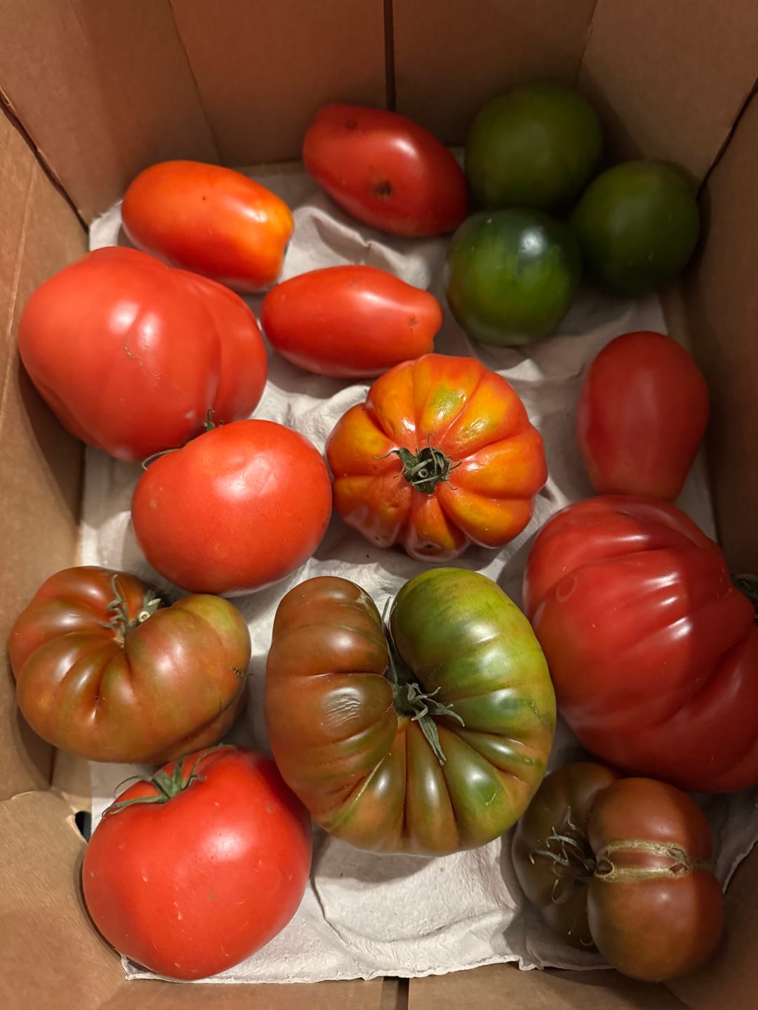 Customer photo review of Tomaten Mix von Julian