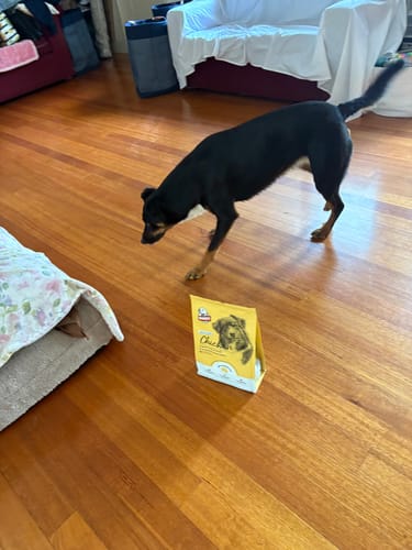 Customer photo review of Bugsy's Air-Dried Beef