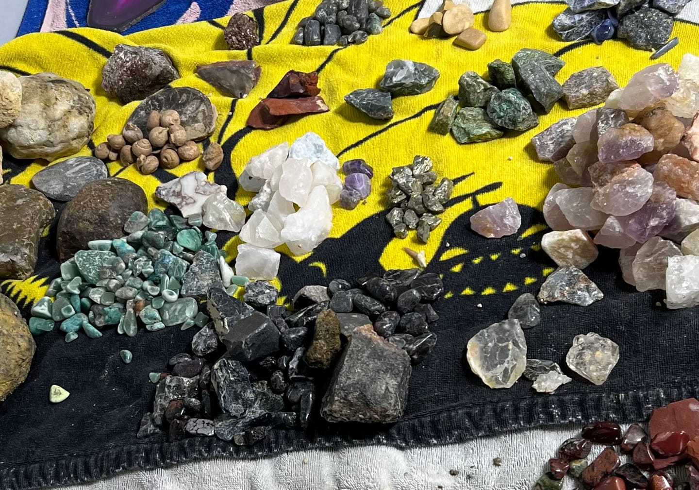Customer photo review of Declan’s Mix Bucket