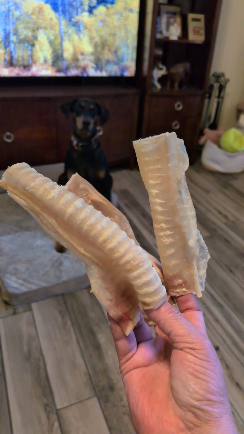 Customer photo review of 6 Inch Beef Trachea