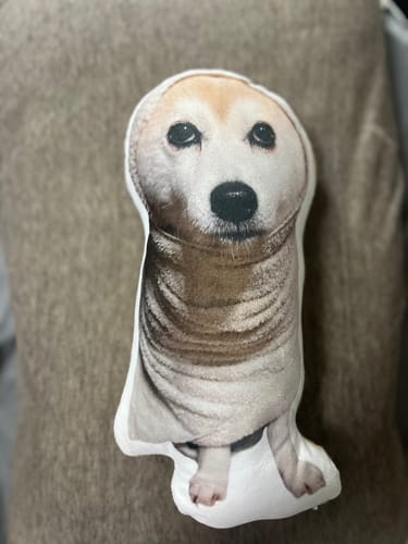 Customer photo review of 本物そっくり♪ペットクッション