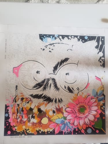 Customer photo review of Malen nach Zahlen - Hello Eule