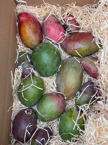 Customer photo review of Baby-Mango Mix "Wild Wonders" Sonderaktion % 3kg