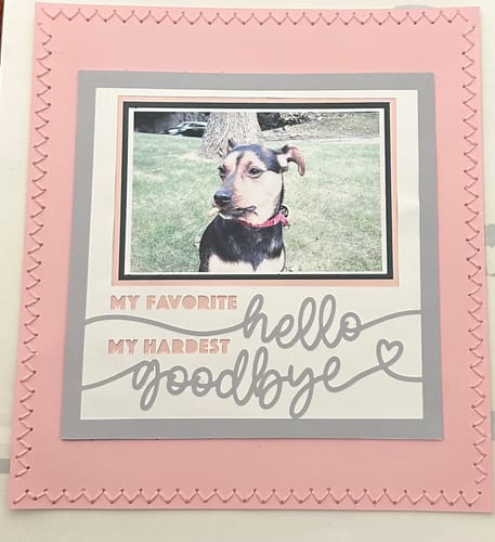 Customer photo review of Crafting Memories SVG Mega Bundle