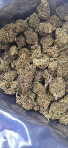 Customer photo review of Cheap THCA Flower Half Pound