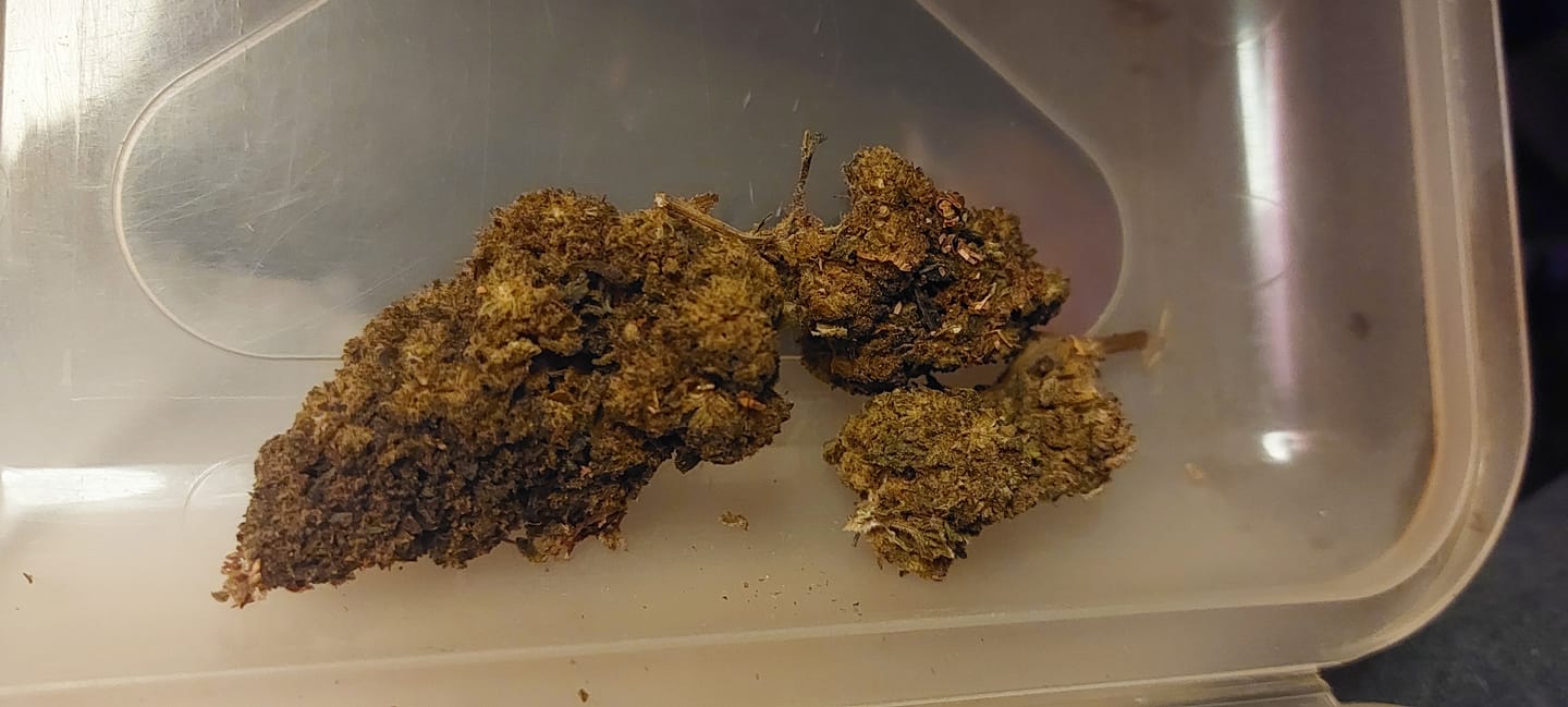 Customer photo review of 🎂 Wedding Cake - Power LVL 5/5