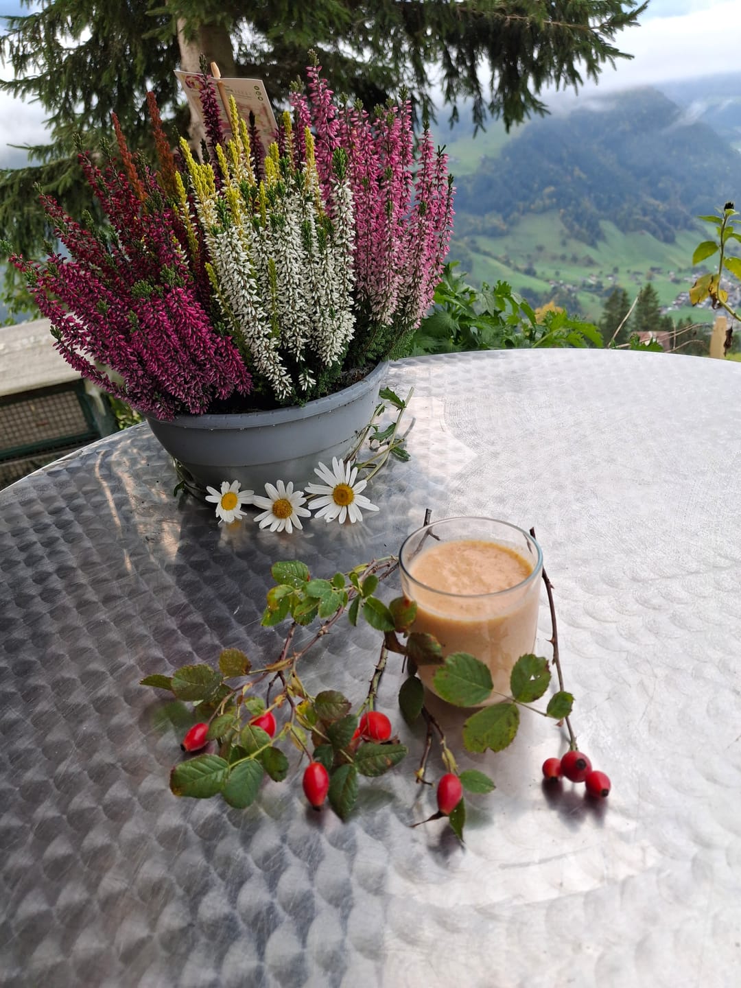 Customer photo review of KEFIRKO DIY Milchkefir-Körner (dehydriert)