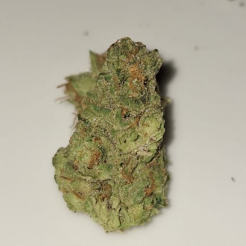 Customer photo review of Lemon Head