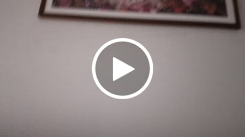 Customer video review of BLOOMING COLORS