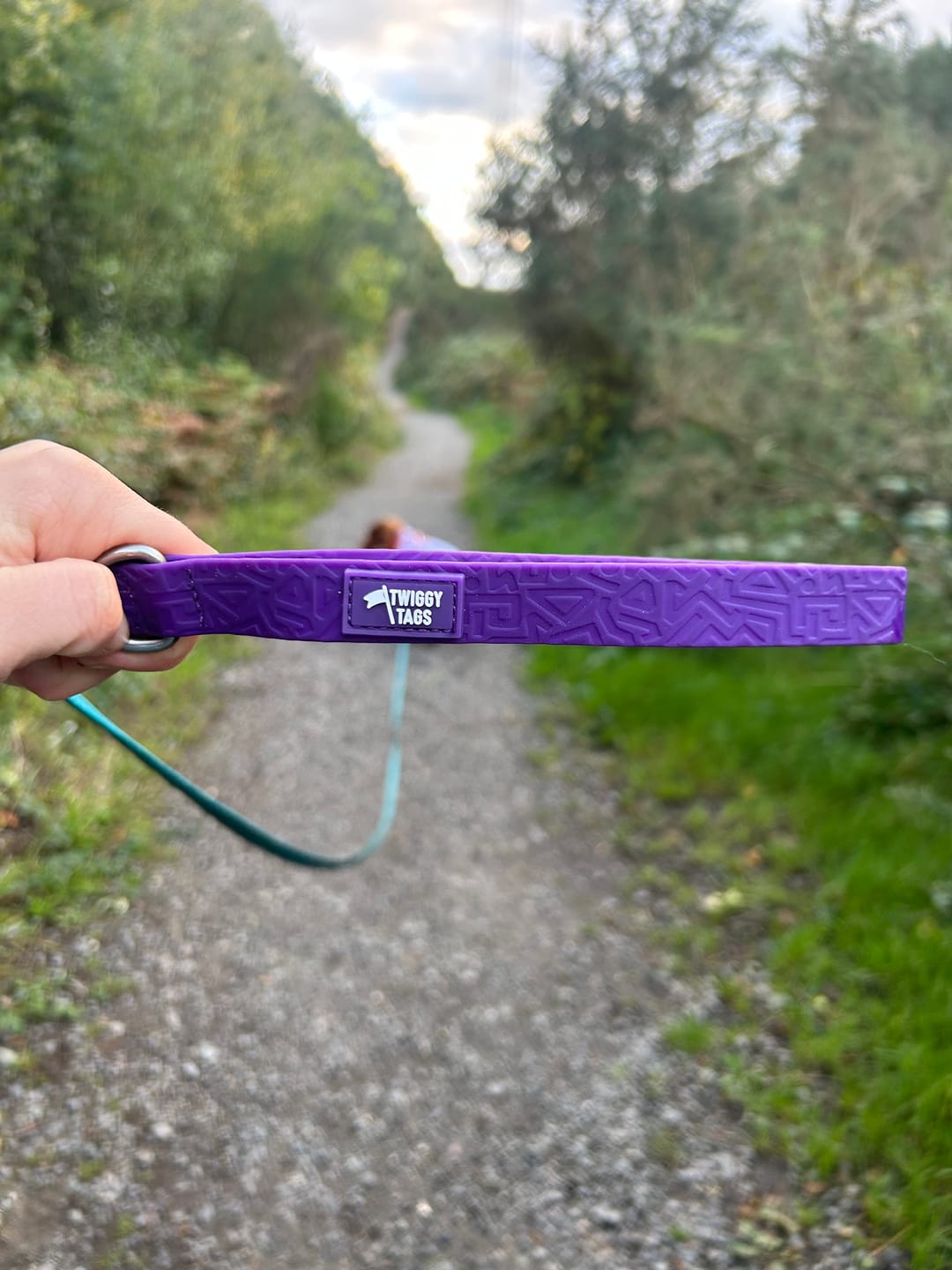 Customer photo review of Tidal Waterproof Grab Handle